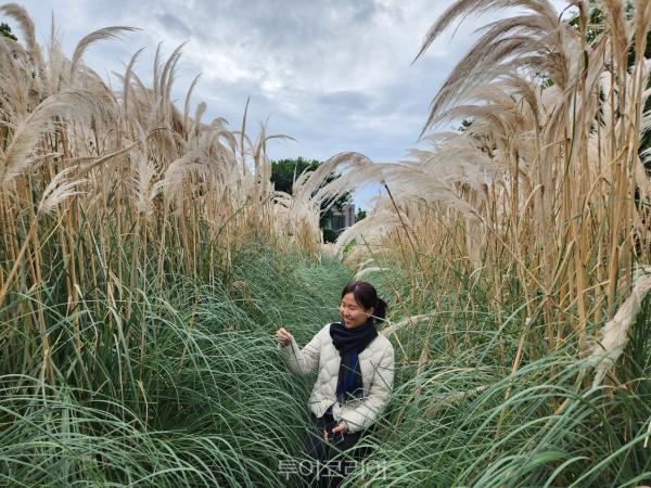 제주의 겨울 매력 탐방!... 자연·문화·휴식이 어우러진 힐링 스팟 7