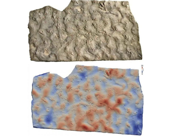 '귀한 물건인데 아뿔싸'…닭발 모양 찍힌 디딤돌 '놀라운 정체'