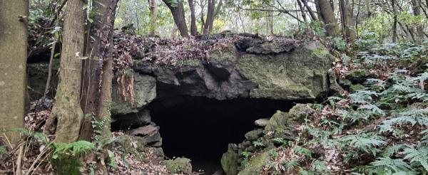 가슴 먹먹한 영화 ‘한란’ 2만 관객 돌파… 촬영현장 숨은 명소 직접 가보니