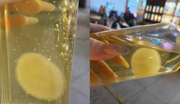 "절대 마시지 마라, 근데 너무 귀여워"…中서 인기라는 '반려균'