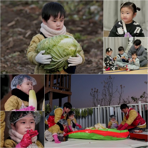 ‘슈돌’ 은우, 배추 나르기 미션! ‘파워업’ 아기장사! “은우 힘 엄청 세”