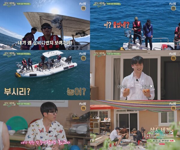  tvN ‘삼시세끼 Light’