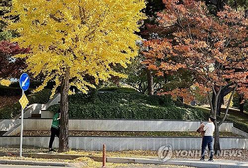 충북 가끔 구름 많음…낮 최고 17∼20도