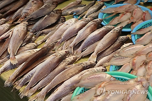 중기부, 수산부산물 재활용 경남특구 준비상황 점검