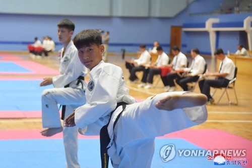 "北, 태권도서도 통일 지우기…'통일 품새' 명칭 변경 추진"