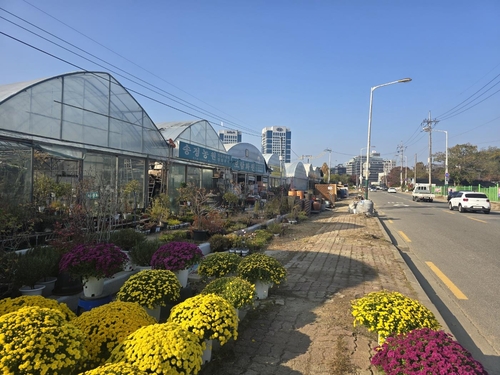 [서미숙의 집수다] 강남 그린벨트 해제…"땅값 올라 거래는 안 돼"(종합)