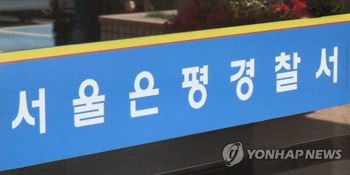 스쿨존서 70대 몰던 승용차 인도 돌진…행인 부상·반려견 즉사