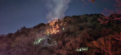 강제 추행에 야산 방화 혐의 30대 유튜버…법정에서도 난동