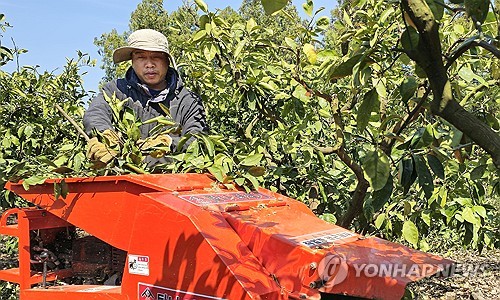 올해 베트남 근로자 13만명 해외로…한국行 3번째로 많아