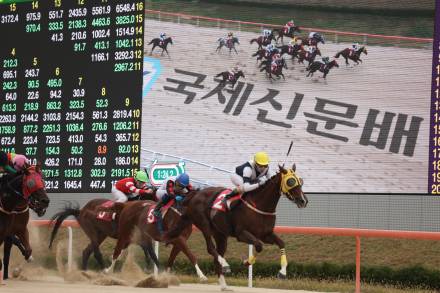 [경마] 스퍼트로 이변 연출...강서자이언트, 국제신문배 대상경주 우승