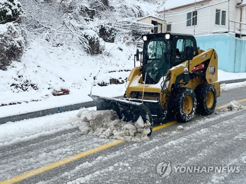 제설차 127대 상시 대기…동해시, 겨울철 도로 제설 대책 수립