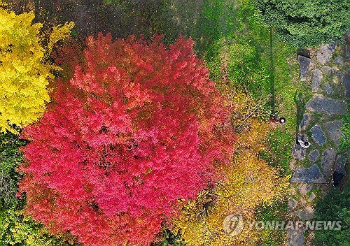 '小雪'인 금요일 큰 추위 없다…아침 -1∼10도·낮 9∼16도