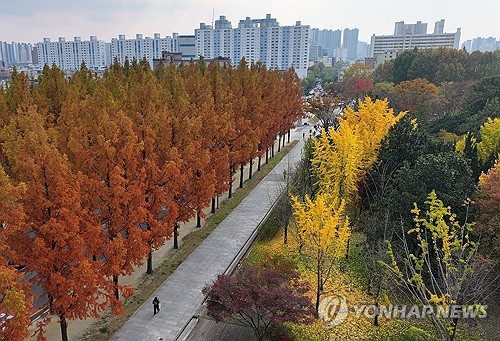 주말 맑고 예년보다 포근…내주 중반 올가을 '첫눈' 내릴수도