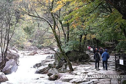 '설악산 탐방객 분산하자'는 환경단체 지적 반박한 국립공원