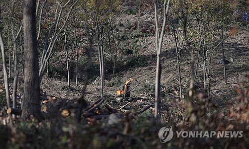 "멀쩡해보이는 소나무도 안심 못해"…밀양시 재선충병 방제 총력