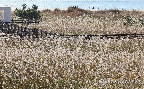 [내일날씨] 아침 최저기온 영하권…바람 불어 체감온도 '뚝'