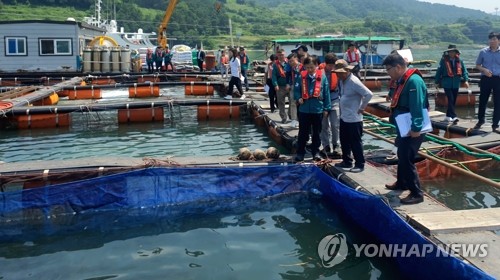 여수서 268억 고수온 양식 피해…재난지원금 113억 지급