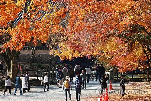 늦더위에 미뤄진 단풍철, 국립공원 탐방객 추이도 변화