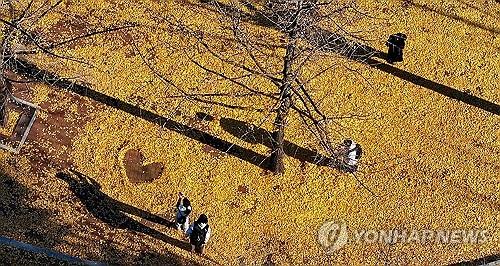 대구·경북 맑다가 오후부터 흐려져…낮 기온 14∼17도