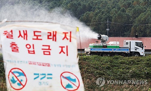 전남 영암 가금농장서 고병원성 AI…정부 "방역 관리 강화"