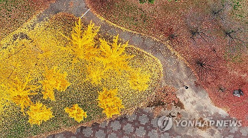 대구·경북 흐리고 비…오후부터 기온 '뚝'