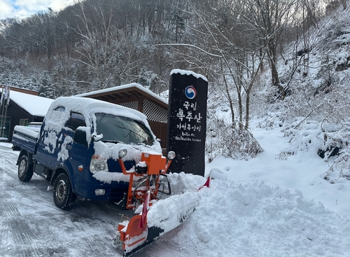 수도권·강원 등 대설특보…산림청, 산림다중시설 안전관리 강화