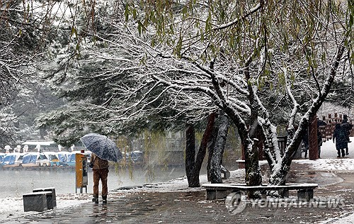 대구 겨울 앞두고 첫눈…"옅은 눈발 날리는 수준"