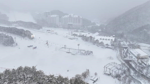 "멋진 설경과 함께 겨울을 즐기세요"…강원 스키장 29일 개장