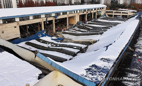 11월 폭설·강풍의 습격…쓰러지고 무너져 곳곳서 사고(종합)