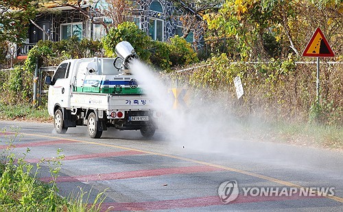 강원도, 동해 산란계 농장 조류인플루엔자 이동제한 해제