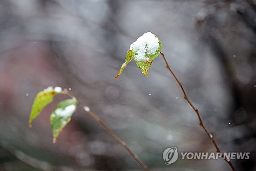 광주·전남 밤까지 약한 비나 눈 내리다 그쳐