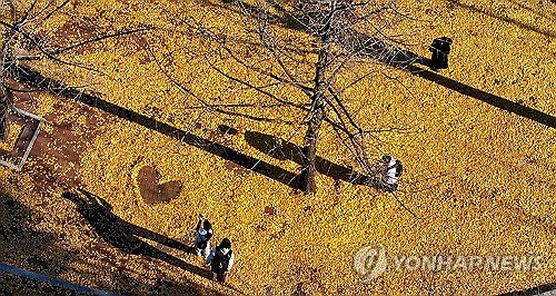 대구·경북 맑다가 오후부터 구름…낮 기온 8∼13도