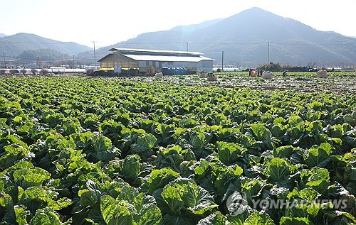 울산서 '국민통합 김장행사'…김치 80t 소외계층에 전달