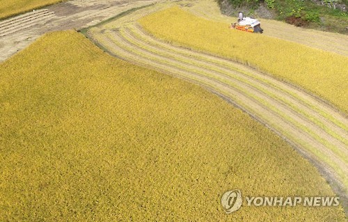 "농산물 생산력에 농지 지력 중요"…울주군, 토양개량제 공급