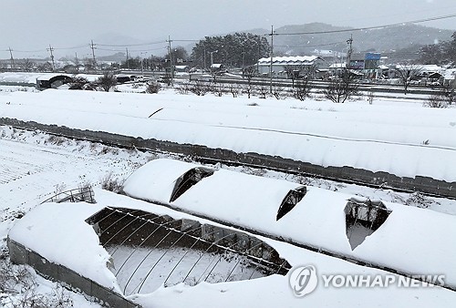 폭설에 농업시설 540㏊ 피해…가축 47만마리 폐사