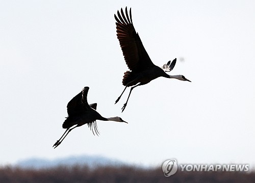 광주·전남 목요일 아침까지 추위…낮부터 기온 올라