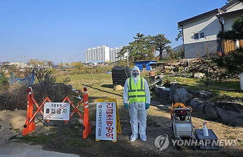 전남도, 조류인플루엔자 확산 차단 '총력'