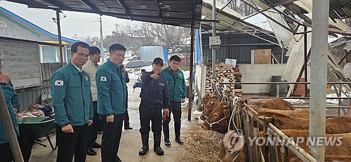 농식품부 "폭설 피해 농업시설 철거위해 복구비 10% 추가 지급"