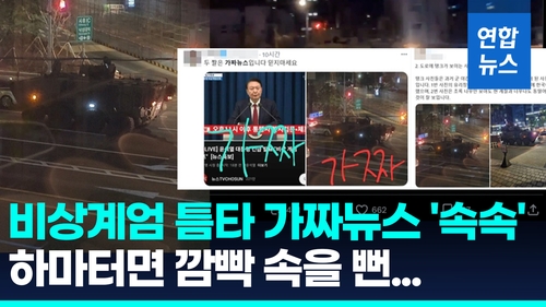 [영상] SNS에 올라온 장갑차 출동 사진…'계엄'에 가짜뉴스 속출