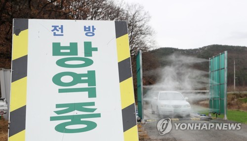 고병원성 AI 발생 잇따라…김포 산란계 농장서 추가(종합)