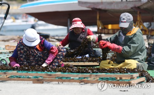 울산시, 491개 어가에 어민수당 2억9천만원…어가당 60만원