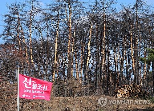 [내주날씨] 강원산지·동해안 대기 건조…산불 예방 유의해야