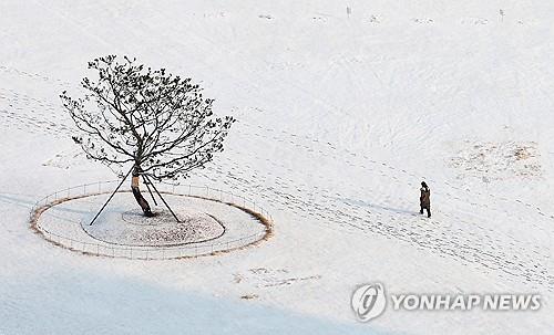 포천 9.0㎝ 등 동짓날 경기지역에 눈…오후부터 그칠 듯(종합)