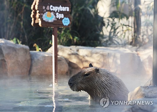 충북 대체로 맑음…낮 기온 0∼3도