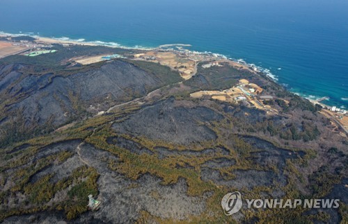 [기후 격변] ⑨ 신음하는 금수강산…"생존 문제로 인식하고 대비해야"(끝)