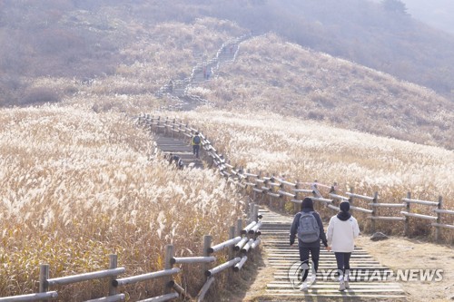 "자전거 자유여행은 울산 동해안·영남알프스 자전거길로"