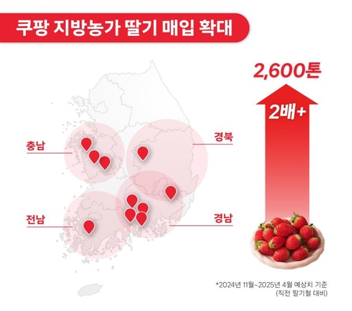 쿠팡, 영암 등 전국서 딸기 2천600t 매입…"전년의 두 배 넘어"