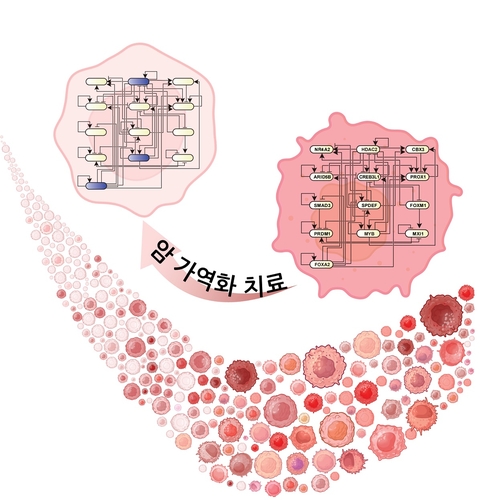 "암세포 죽이지 않고 정상세포로 되돌려 부작용 없이 치료한다"