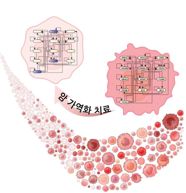 암세포를 정상세포로 되돌린다…KAIST 신기술 개발