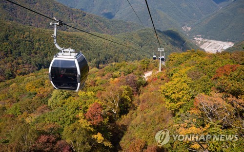 "전면 복원" vs "유산 존치" 정선 가리왕산 케이블카 운명은